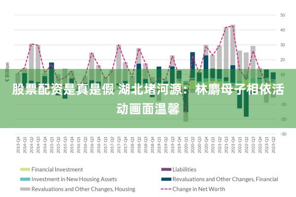 股票配资是真是假 湖北堵河源：林麝母子相依活动画面温馨