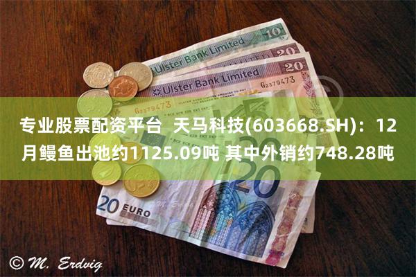 专业股票配资平台  天马科技(603668.SH)：12月鳗鱼出池约1125.09吨 其中外销约748.28吨