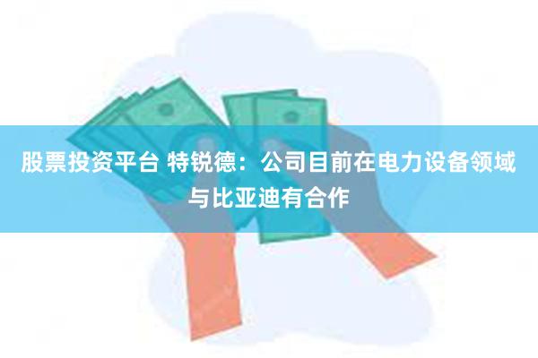 股票投资平台 特锐德：公司目前在电力设备领域与比亚迪有合作