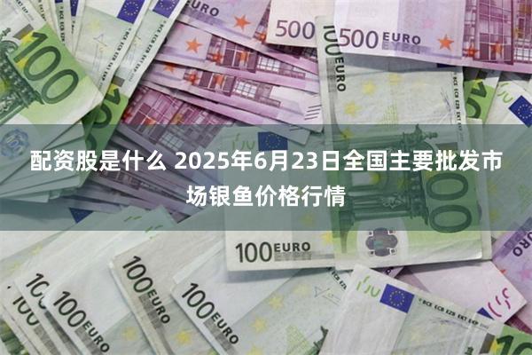 配资股是什么 2025年6月23日全国主要批发市场银鱼价格行情
