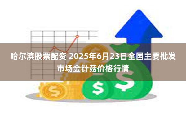 哈尔滨股票配资 2025年6月23日全国主要批发市场金针菇价格行情