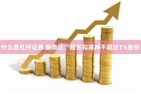 什么是杠杆证券 骏鼎达：股东拟减持不超过1%股份