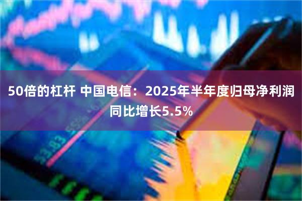 50倍的杠杆 中国电信：2025年半年度归母净利润同比增长5.5%
